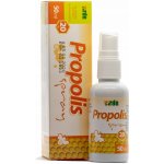 Virde Propolis spray 50 ml – Zboží Dáma