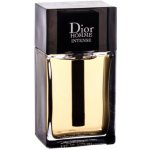 Christian Dior Dior Homme Intense 2020 parfémovaná voda pánská 100 ml – Hledejceny.cz