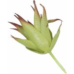 Umělá rostlina Aloe červená 13,5 cm – Sleviste.cz