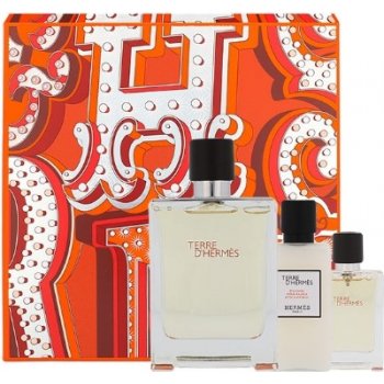 Hermès Terre D'Hermès toaletní voda pánská 100 ml