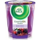 Air Wick Essential Oils Infusion Berries & Spice 105 g