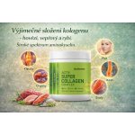 Activstar Super Collagen complex 240 g – Hledejceny.cz