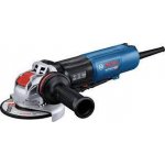 Bosch GWX 17-125 PSB Professional 0.601.7D3.700 – Hledejceny.cz