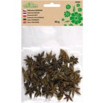 Nohel Garden Dekorace sušiny BADYÁN/ANÝZ přírodní 40g – Hledejceny.cz