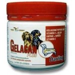 Orling - Gelacan Plus Darling 5 kg – Hledejceny.cz