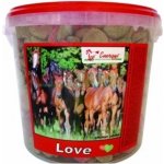 Energys Love Pamlsky jablečné srdíčka 2 kg – Zboží Dáma