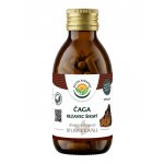 Salvia paradise Čaga rezavec šikmý 120 tobolek – Hledejceny.cz