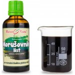 Bylinné kapky Pavlovy bylinné kapky Morušovník moruše plod tinktura 50 ml – Hledejceny.cz