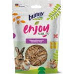 Bunny Nature Enjoy Pampeliškové kořeny 100 g – Zboží Dáma