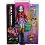 Mattel Monster High Monsterka Jinafire Long – Hledejceny.cz