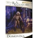 Forgotten Realms - Temný elf 1: Domovina - R. A. Salvatore