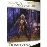 Forgotten Realms - Temný elf 1: Domovina - R. A. Salvatore – Hledejceny.cz