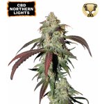 Seedstockers CBD Northern Lights semena neobsahují THC 3 ks – Hledejceny.cz
