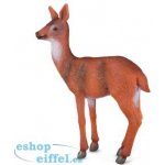 Collecta Laň – Sleviste.cz