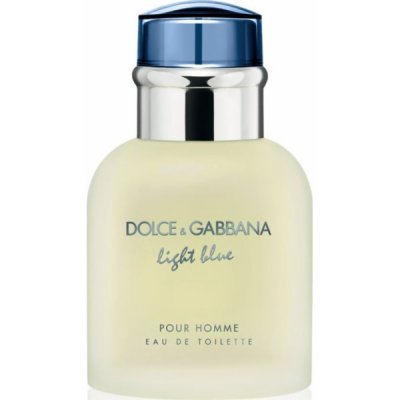 Dolce & Gabbana Light Blue Pour Homme EDT 40 ml – Zbozi.Blesk.cz