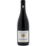 Weingut Salwey Henkenberg GG Rulandské modré suché červené 2021 13,5% 0,75 l (holá láhev) – Hledejceny.cz