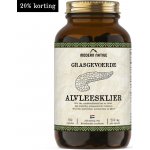 Modern Native Alvleesklier Sušená hovězí slinivka břišní v kapslích 500 mg 180 ks – Hledejceny.cz