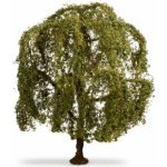 Noch Smuteční vrba – Sleviste.cz