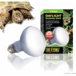 Hagen Exo Terra Daylight Basking Spot 75 W – Hledejceny.cz