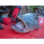 Hell-Cat Plachta pod sumce 290 x 145cm – Zboží Mobilmania