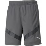 Puma TeamFINAL Training Shorts – Zbozi.Blesk.cz