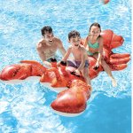 Intex 57533 Humr RIDE ON – Zboží Dáma