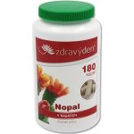 Zdravý den Nopal 180 kapslí – Hledejceny.cz