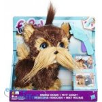 Hasbro FurReal Štěně s česací srstí – Hledejceny.cz