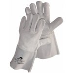 Cerva MARTIUS – Sleviste.cz