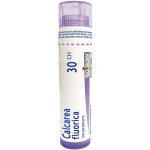 CALCAREA FLUORICA POR 30CH GRA 1X4G – Hledejceny.cz