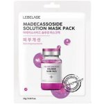 LEBELAGE Madecassoside Solution Mask Pack Obnovující plátýnková maska 25 g – Sleviste.cz