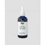 BioUp Masáž pro mastnou pokožku hlavy posilující vlasy. Essence Be Pure 100 ml – Hledejceny.cz