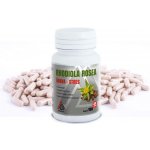 Rhodiola Rosea VALKNUT 100+20 kapslí – Hledejceny.cz