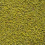 Country Life Fazole mungo 5 kg Bio – Zboží Dáma