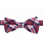 Vsepropejska Britain károvaný motýlek pro psa – Hledejceny.cz