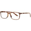 Zippo brýle na čtení 31ZB24DEM200
