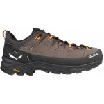 Salewa Alp Trainer 2 Gore Tex hnědé – Zboží Dáma