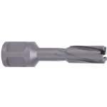 ABSE N-CA-W19-0120035 – Hledejceny.cz