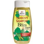 BC Bione Cosmetics vlasový šampon Bříza 255 ml – Hledejceny.cz