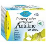 Bione Cosemtics BIO Antakne pleťový krém se sírou 51 ml – Sleviste.cz