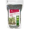 Bezlepkové potraviny Zdravý den Brokolice BIO semena na klíčení 200 g