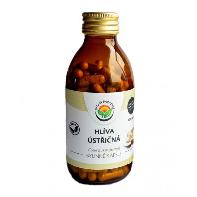 Salvia Paradise Hlíva ústřičná 120 kapslí – Hledejceny.cz