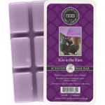 Bridgewater Candle Company vonný vosk do aromalampy Kiss In The Rain 73 g – Zboží Dáma