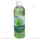 ShishaSyrup Melasa Ledové jablko 100 ml – Zboží Dáma