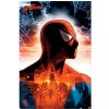 Plakát Plakát, Obraz - Spider-Man - Protector Of The City, (61 x 91,5 cm)