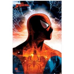 Plakát, Obraz - Spider-Man - Protector Of The City, (61 x 91,5 cm)