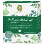 Primavera Aroma lékárnička Energie z lesa esenciální olej 3 x 5 ml – Zboží Dáma