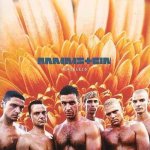 Rammstein - Herzeleid LP - LP – Hledejceny.cz