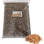 JUKO Mouční červi sáček 1 kg – Zbozi.Blesk.cz