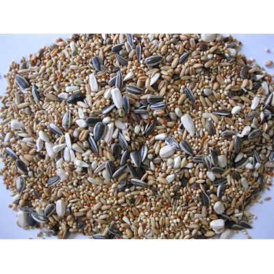 Deli Nature Premium Large Parakeets 1 kg – Zboží Dáma